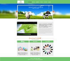 網(wǎng)頁(yè)與網(wǎng)站設(shè)計(jì) 打造卓越用戶體驗(yàn)的關(guān)鍵要素