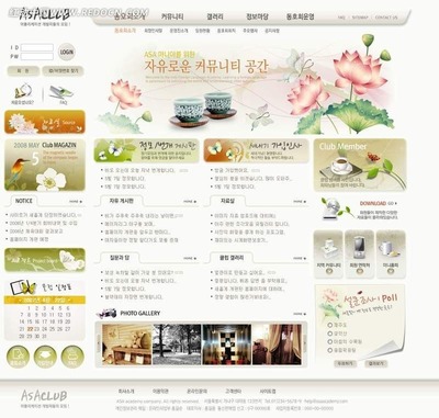 韓國ASA俱樂部網(wǎng)站PSD模版 打造動(dòng)感活力的專業(yè)網(wǎng)頁與網(wǎng)站設(shè)計(jì)